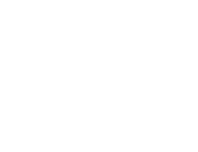 Finnick Group logo